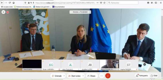 Webinar Europese Commissie