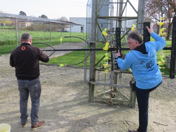 Initiator Wipschieten Ieper