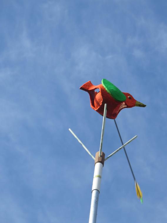 Opleiding festivalwip Brugge