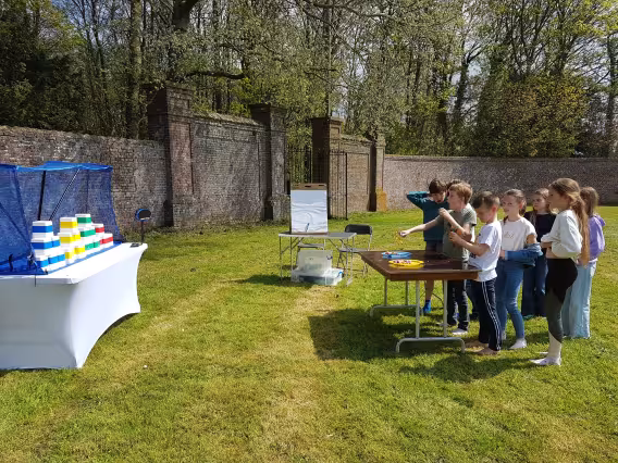 Buitenspeeldag 2023 volkssportanimaties